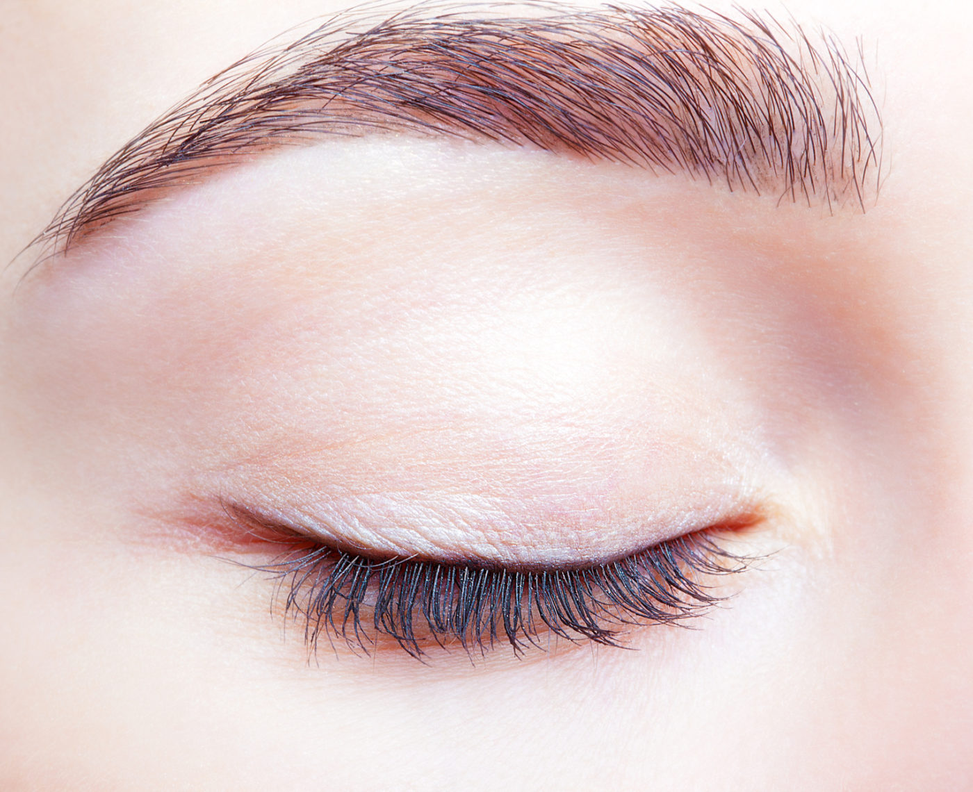 Closeup shot of female closed eye and brows with day makeup