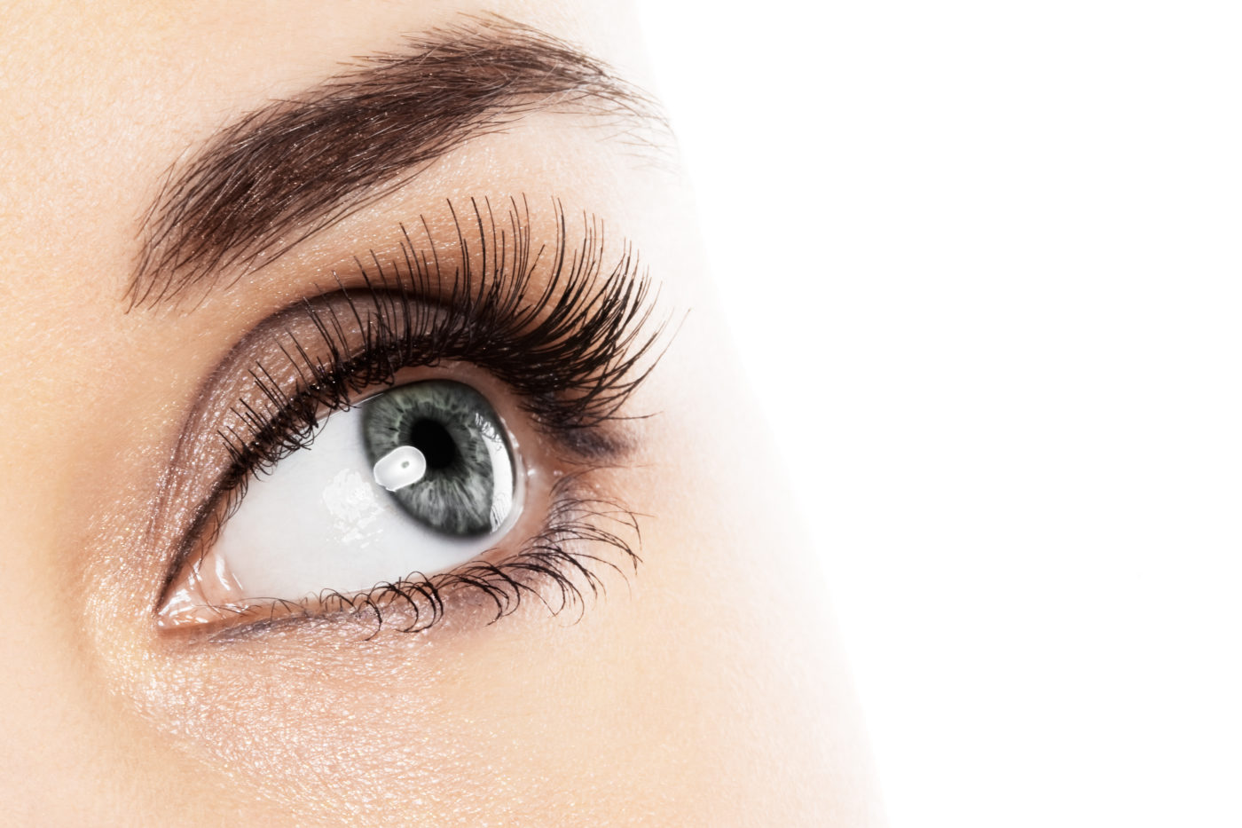 Oculoplastia