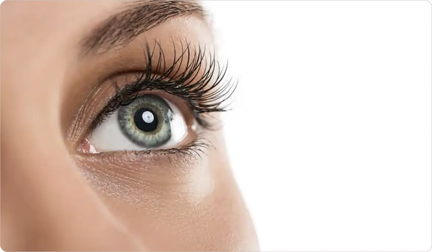 Oculoplastia